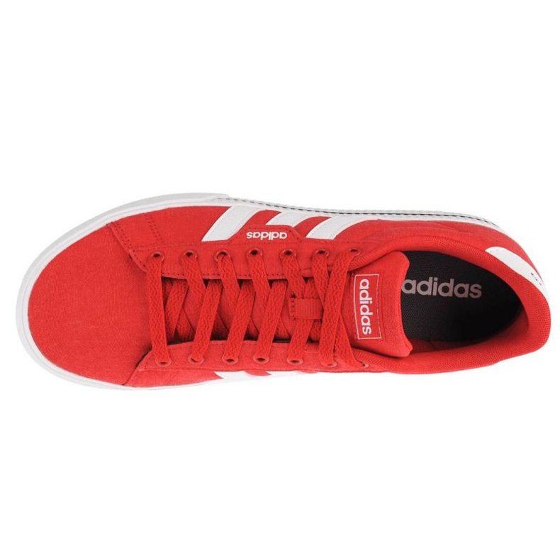 Adidas Daily 3.0 M GY8116 Schuhe rot 1
