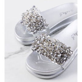 Silberne Pantoffeln auf der Marthas-Plattform 1