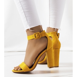 Gelbe Sandalen auf einem Hopkins-Posten 2