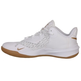 Nike Zoom Hyperspeed Court DJ4476-170 Volleyballschuh weiß weiß 1
