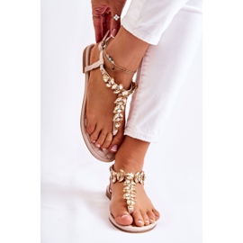 PG2 Damensandalen Flip-Flops mit dekorativem Gürtel Beige Daylight 1