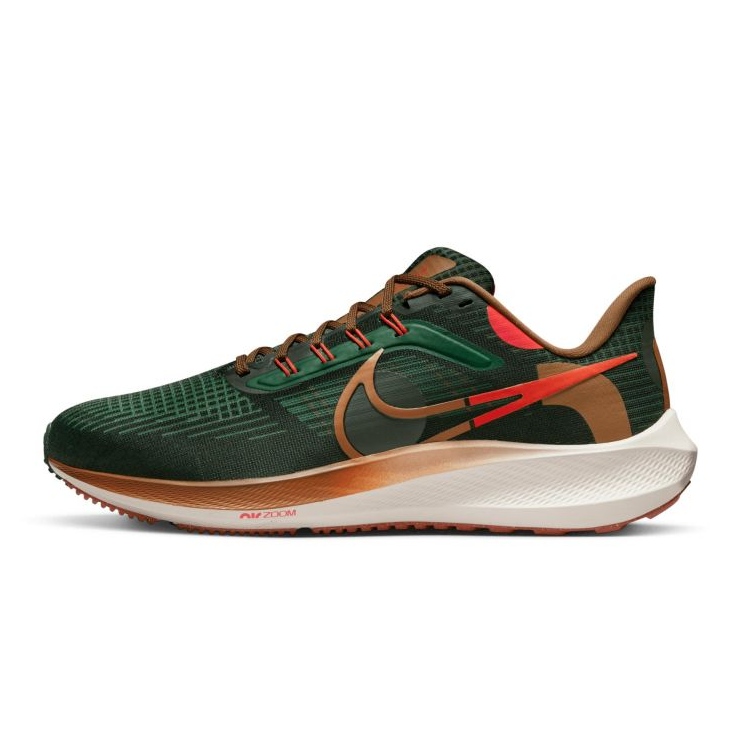 Nike Air Zoom Pegasus 39 AIR Hola Lou M DO9500-300 Schuh grün 1