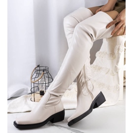 PA1 Beige Stiefel Delore 2