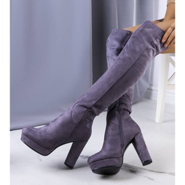 PA1 Graue Wildlederstiefel am Titus-Posten 1