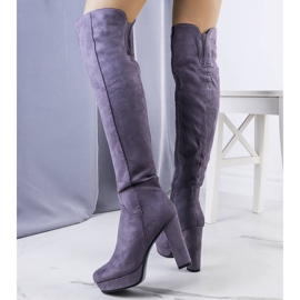 PA1 Graue Wildlederstiefel am Titus-Posten 2
