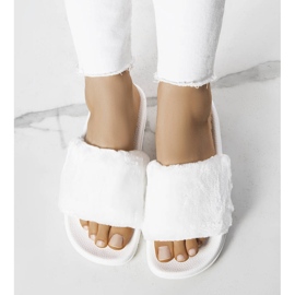 PA1 Weiße Schieber mit elfenbeinfarbenem Fell 1