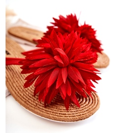 WJ1 Damen-Flip-Flops mit Stoffverzierung Eviana rot 1