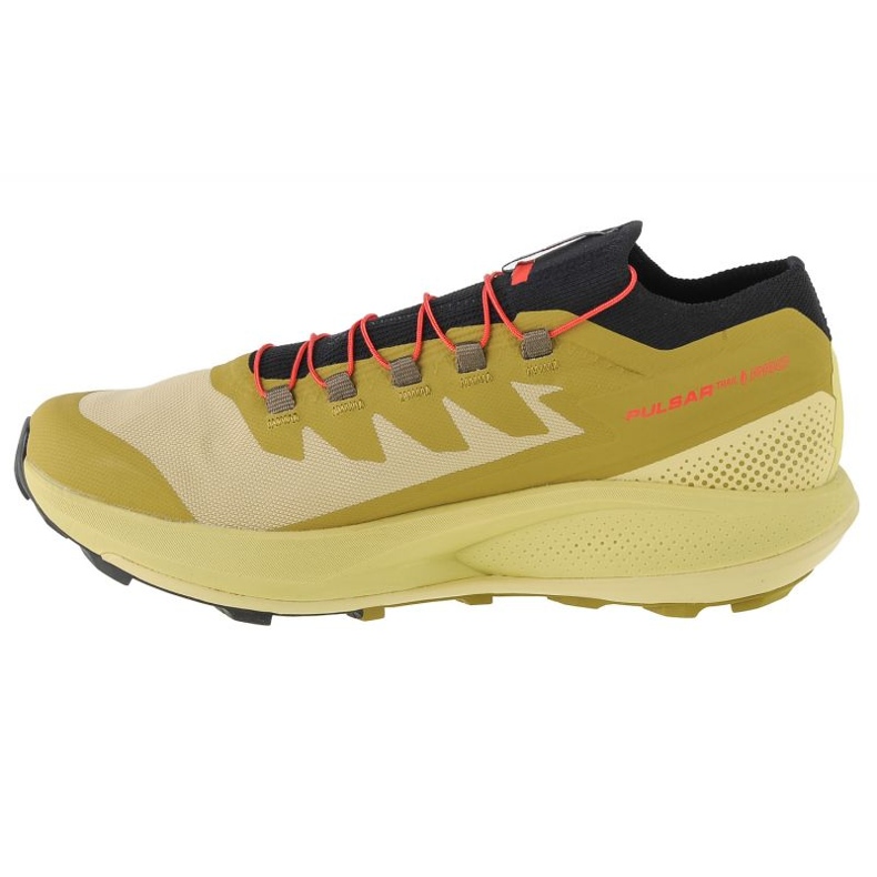 Schuhe Salomon Pulsar Trail-Pro M 415936 grün 1